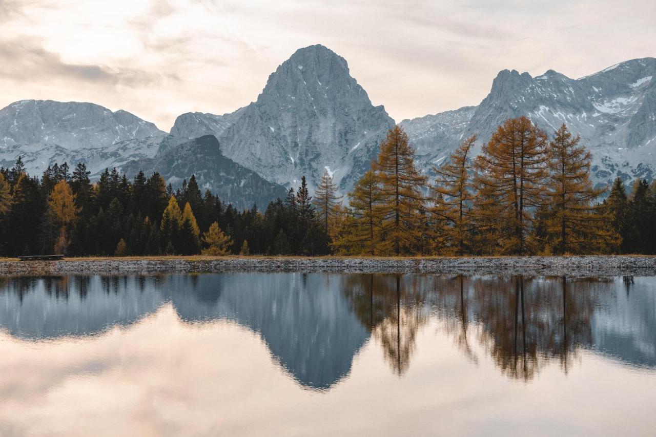 Triforet Alpin Resort Хинтерстодер Экстерьер фото