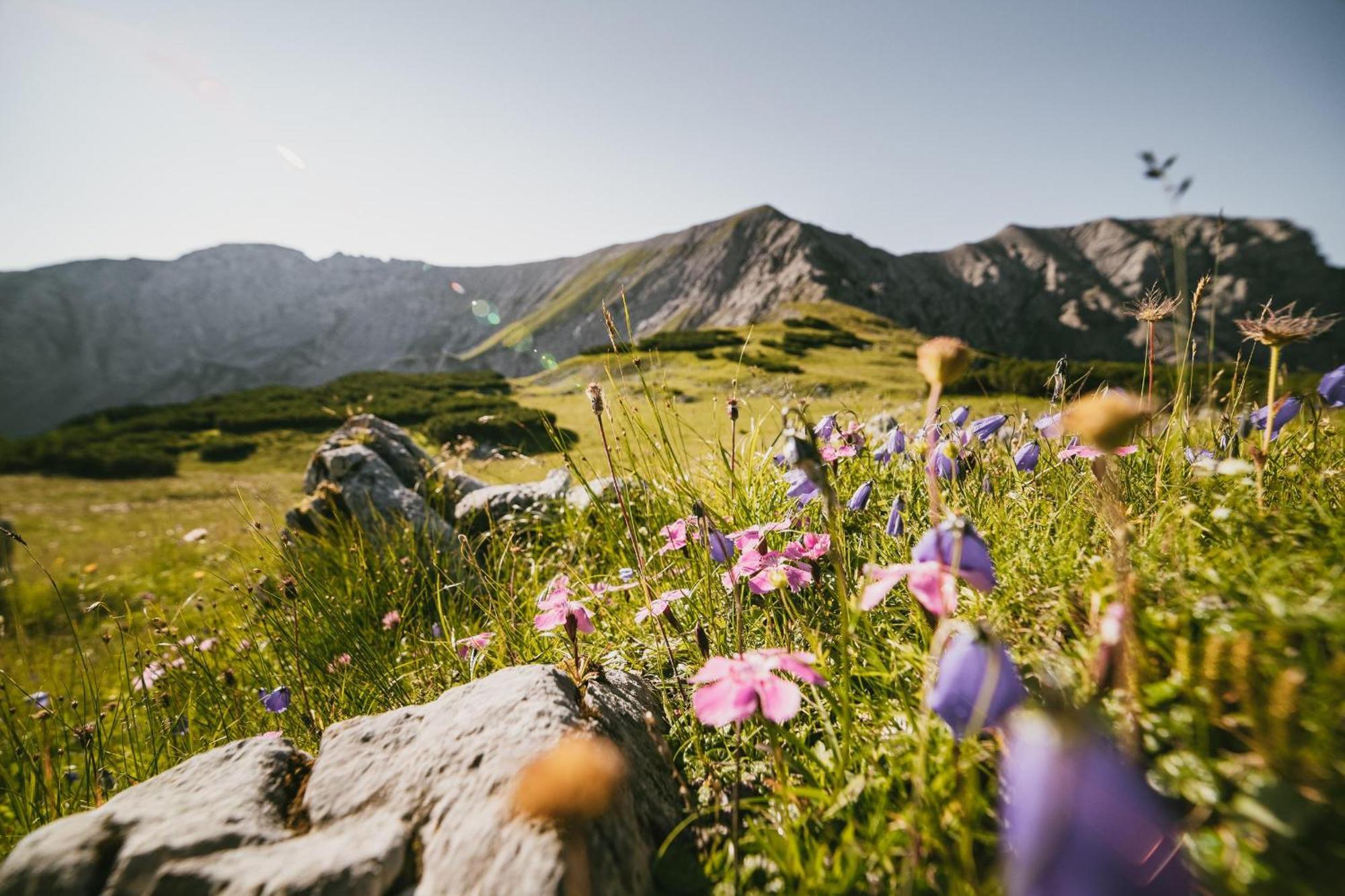 Triforet Alpin Resort Хинтерстодер Экстерьер фото