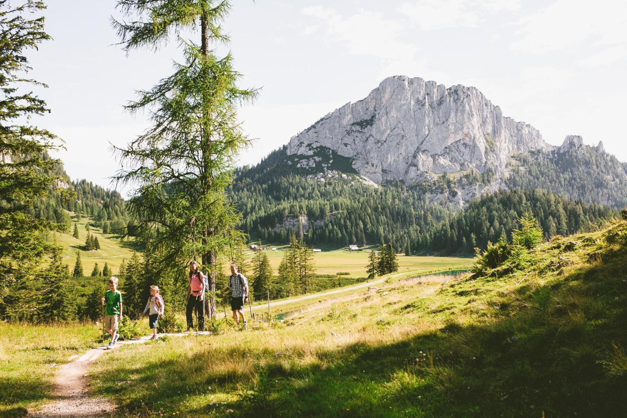 Triforet Alpin Resort Хинтерстодер Экстерьер фото