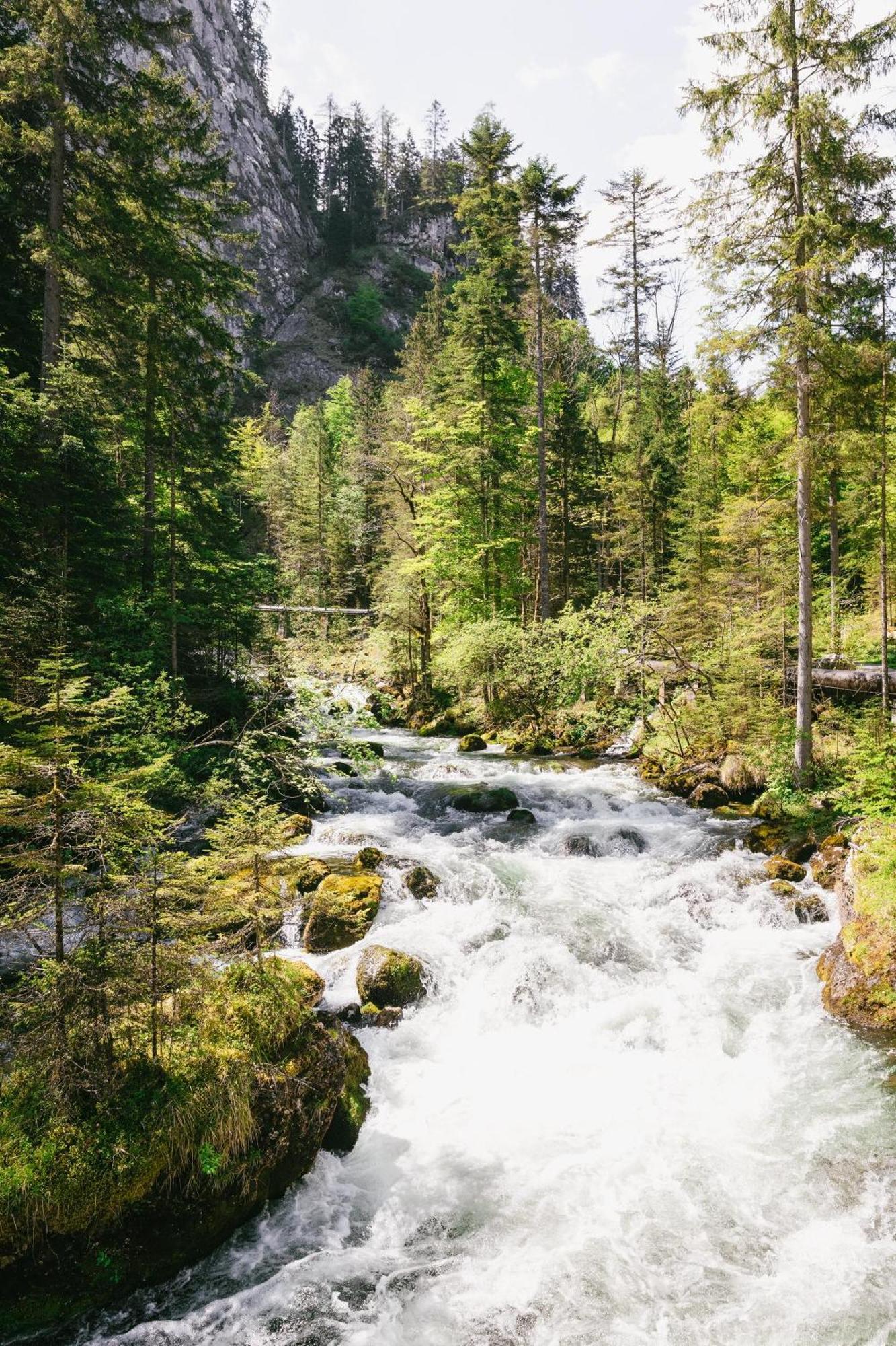Triforet Alpin Resort Хинтерстодер Экстерьер фото